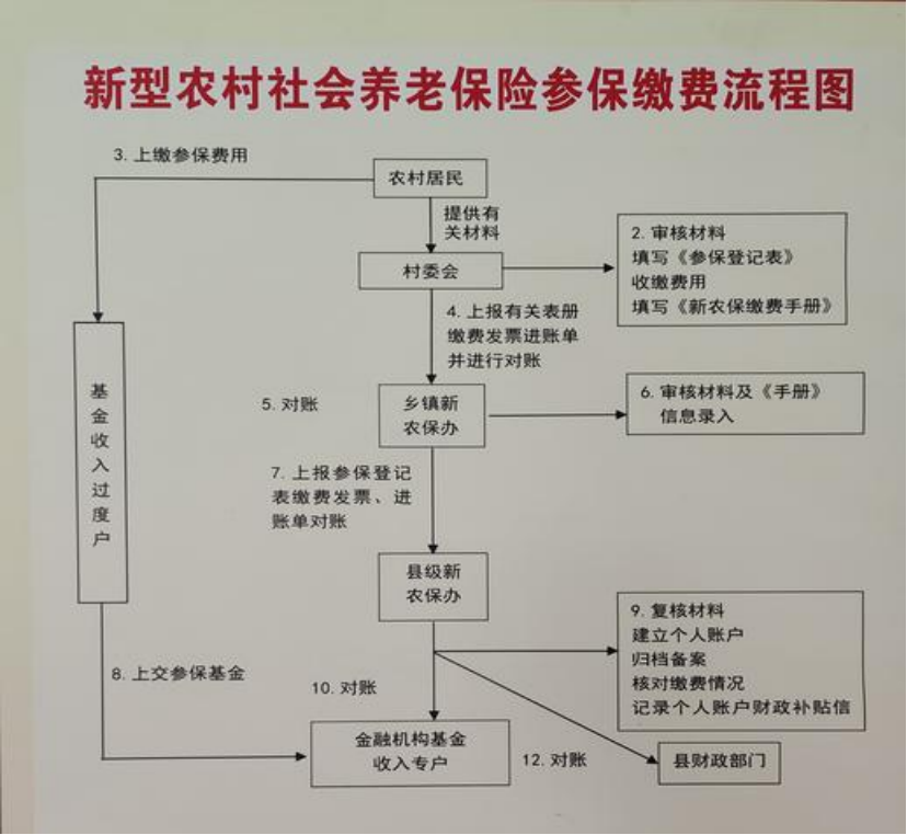 赣州农村医保和社保有什么区别(农村医保跟社保的区别)